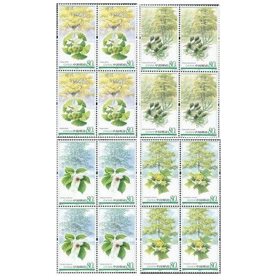 2006-5《孑遗植物》特种邮票  孑遗植物邮票四方联