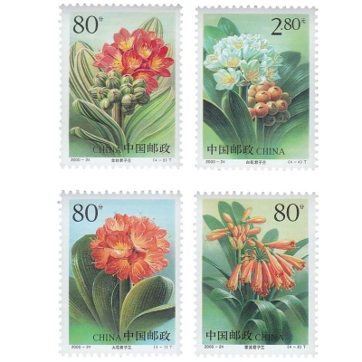 2000-24《君子兰》特种邮票